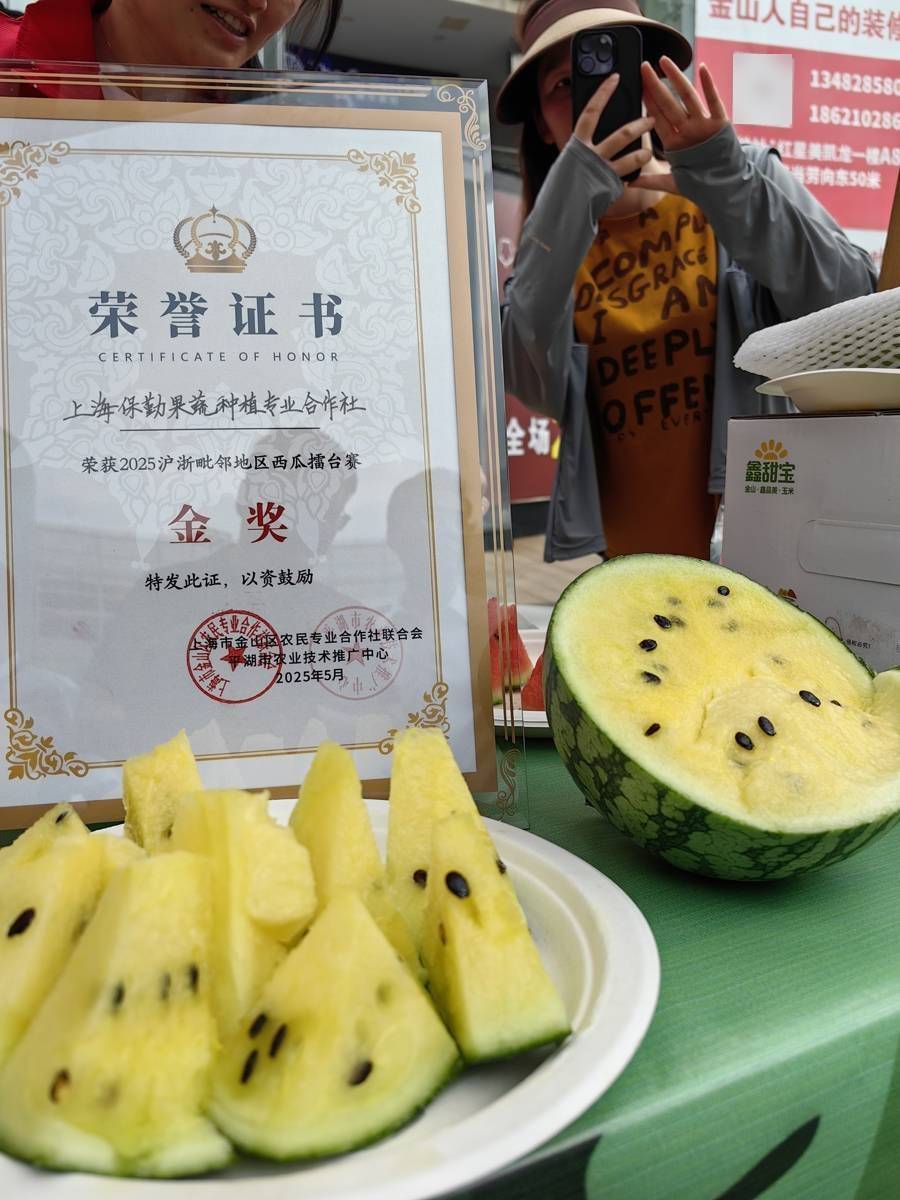 金山西瓜节 小皇冠唱主角