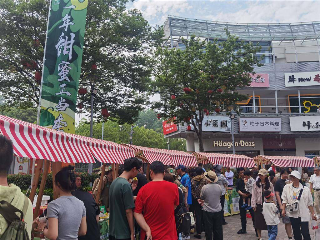 一口鲜甜解锁夏日密码！2025金山小皇冠西瓜节开幕