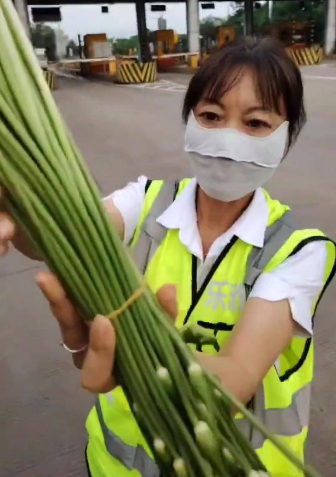 “韭菜免收通行费韭菜薹要收费”引热议，专家呼吁：让绿通目录更“鲜活”