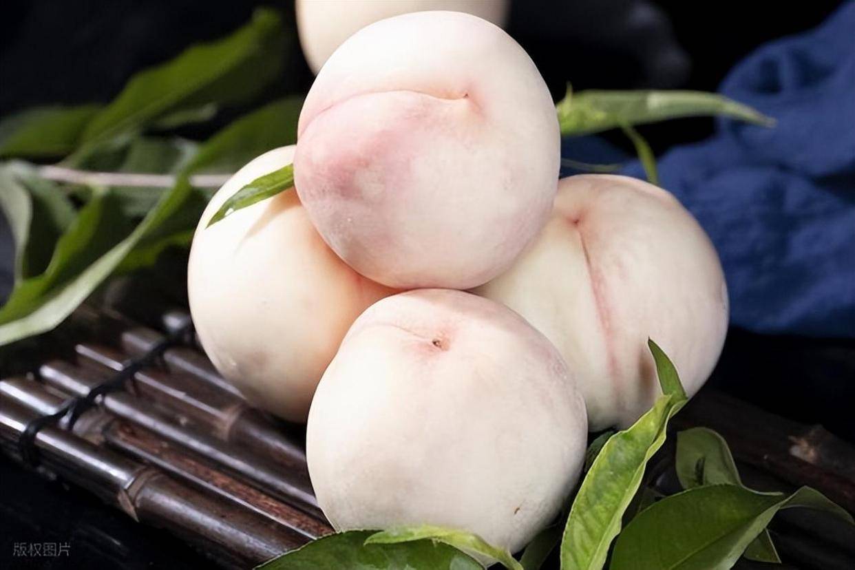 桃子(桃子的拼音) 桃子(桃子的拼音)