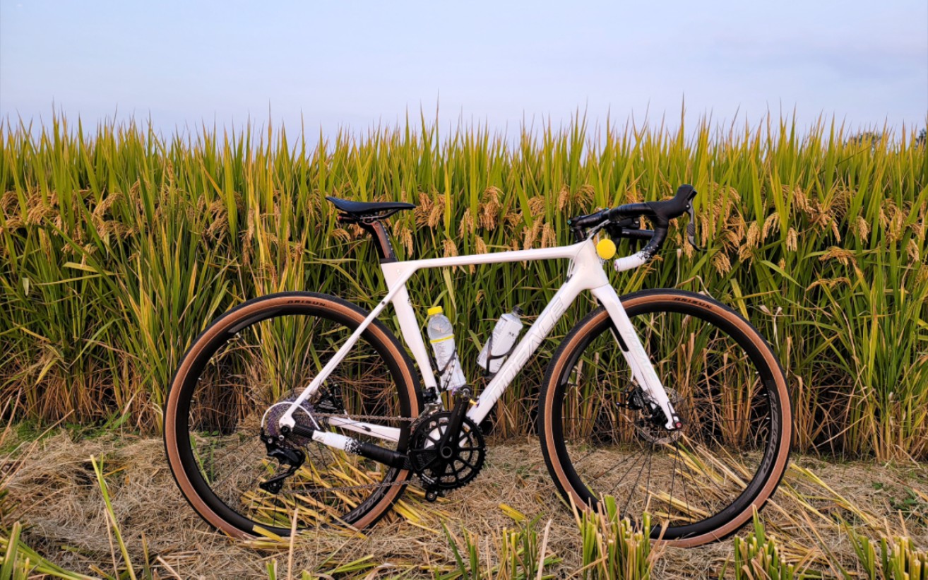 Tidex(体德校长李维德) Tidex(体德校长李维德)