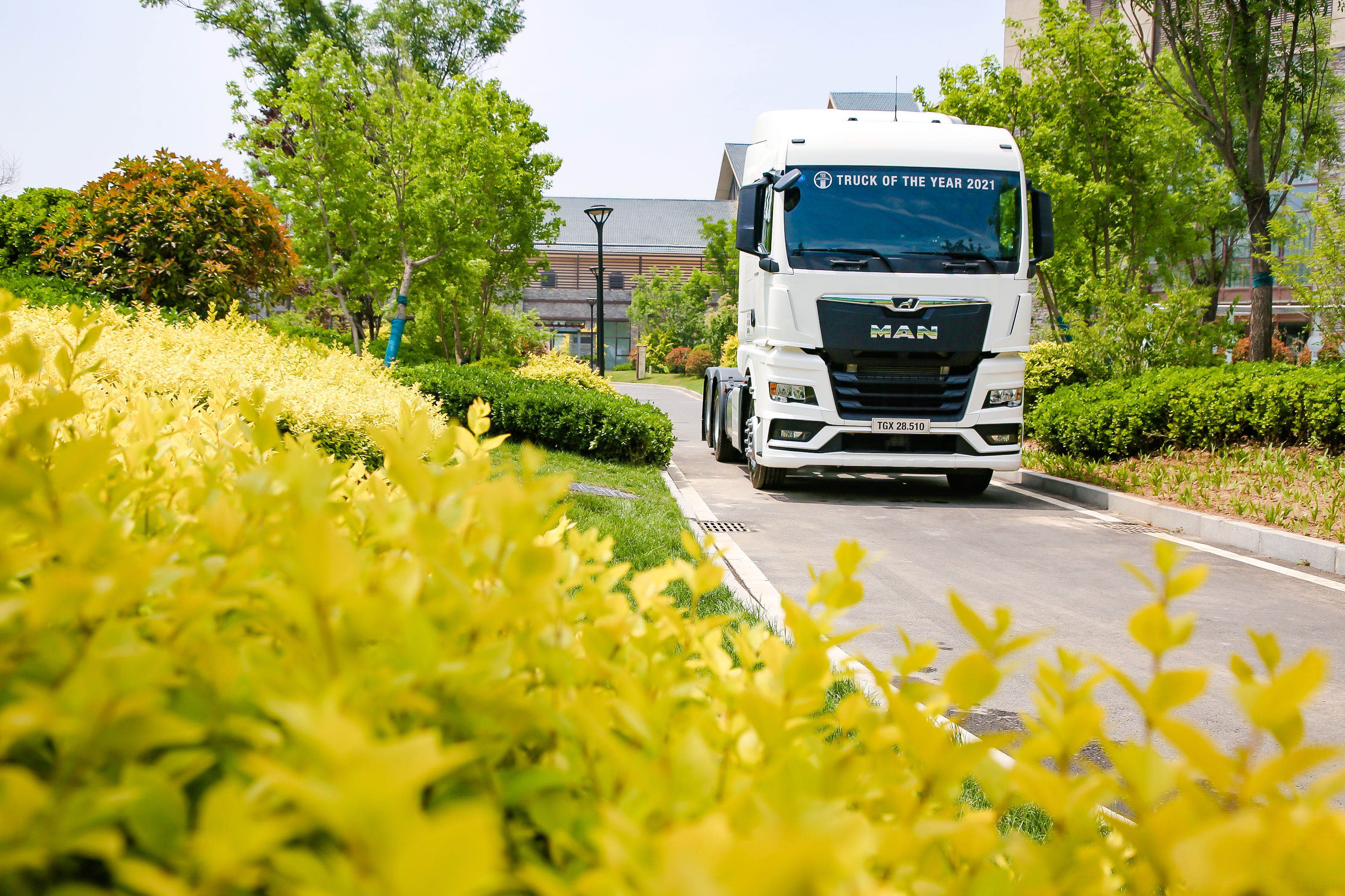 TGCX(铁锅除锈最好办法视频) TGCX(铁锅除锈最好办法视频)