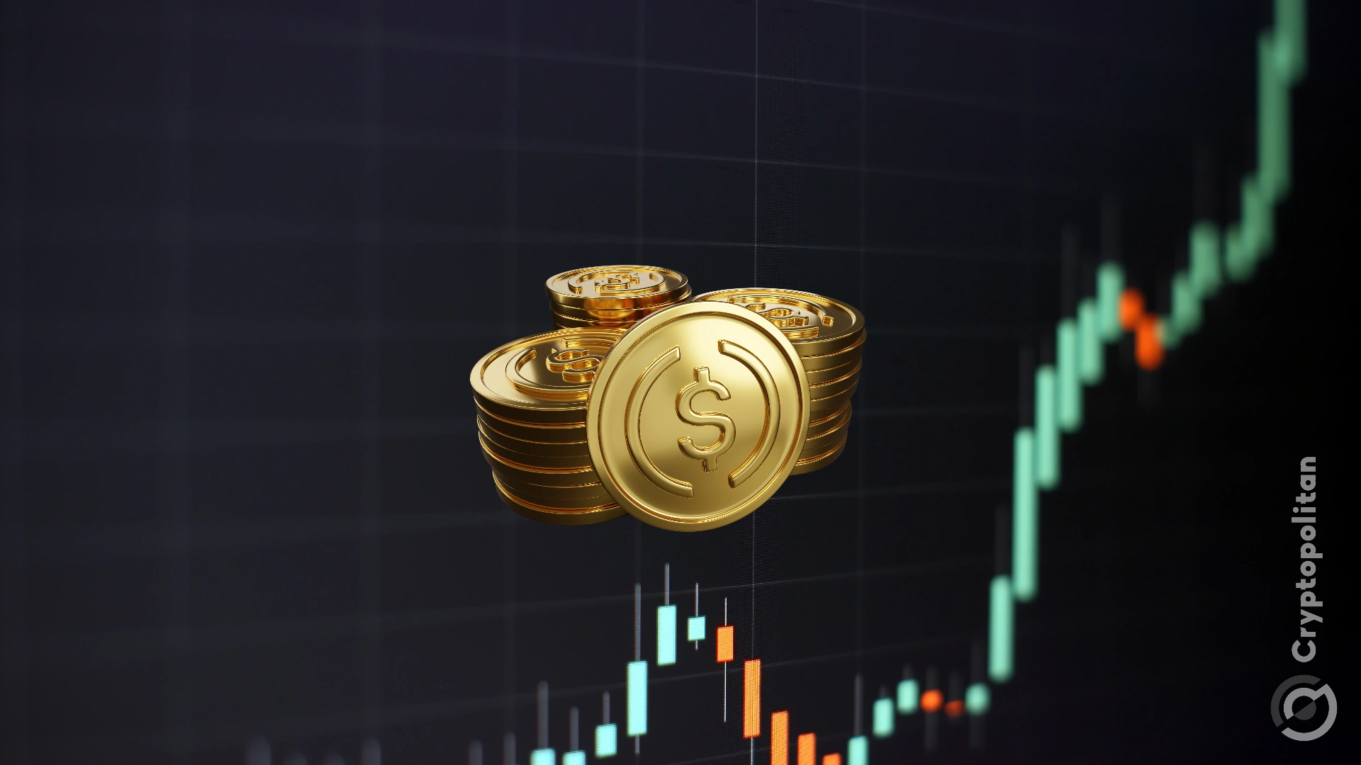 新币网(新币网官网入口) 新币网(新币网官网入口)