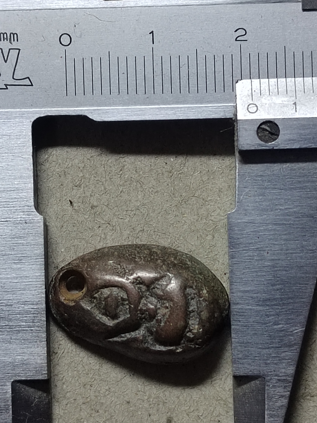 蚁币(蚁币钱大全) 蚁币(蚁币钱大全)