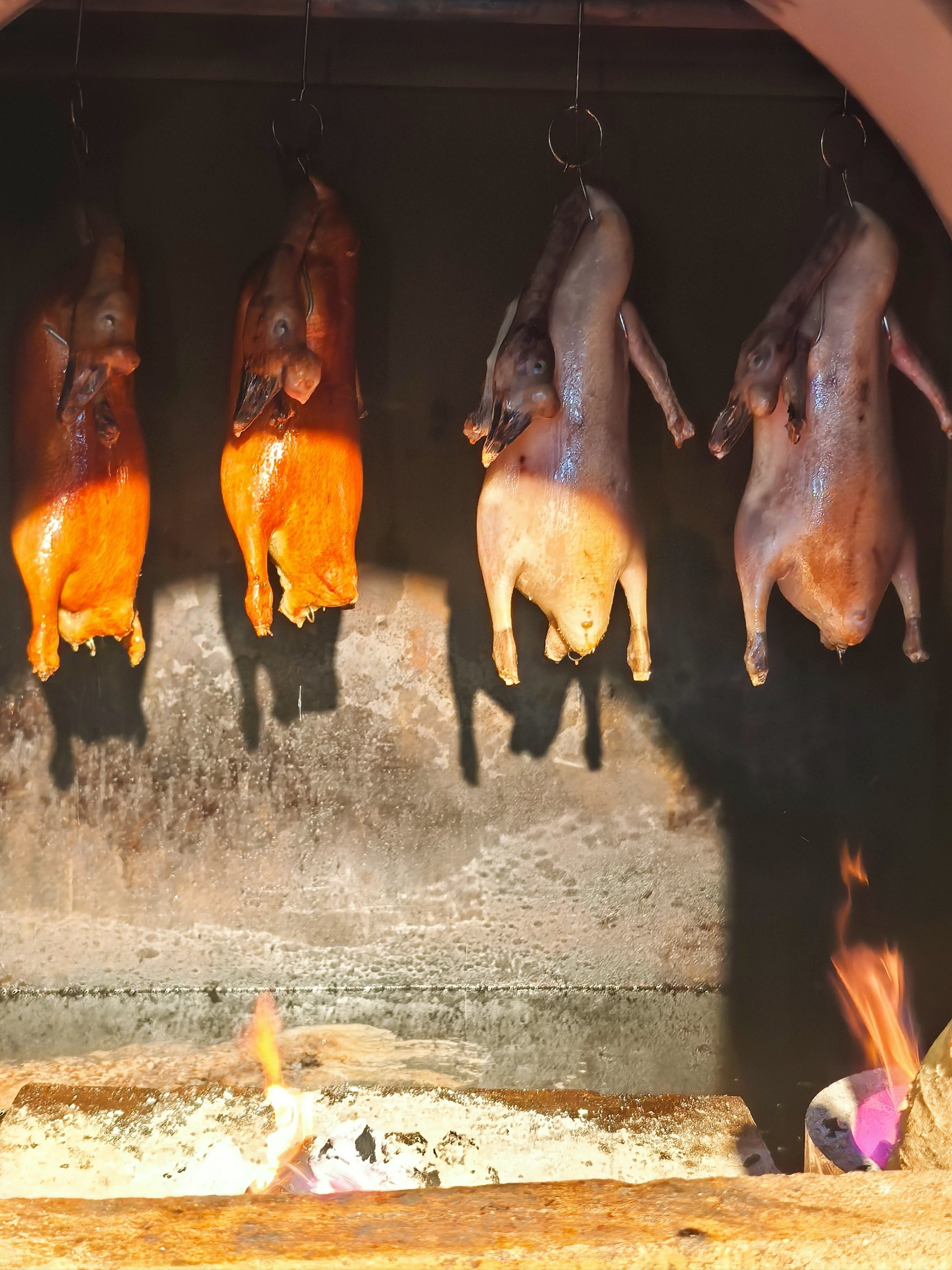 ZGTOP(zgtop门户) ZGTOP(zgtop门户)