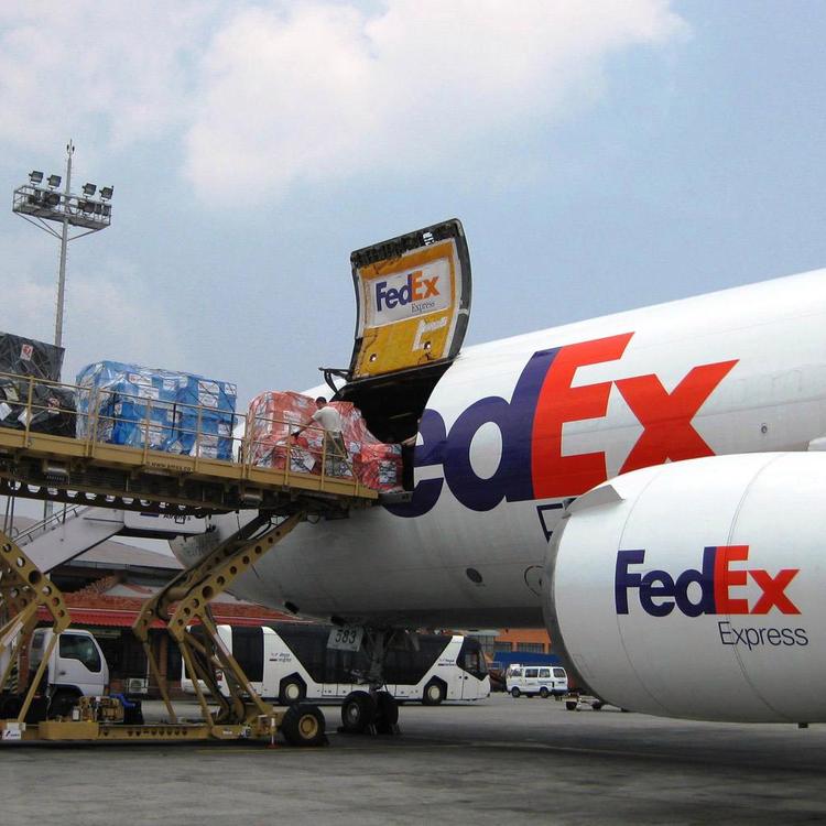 FDEX(f的胸围是多大照片)