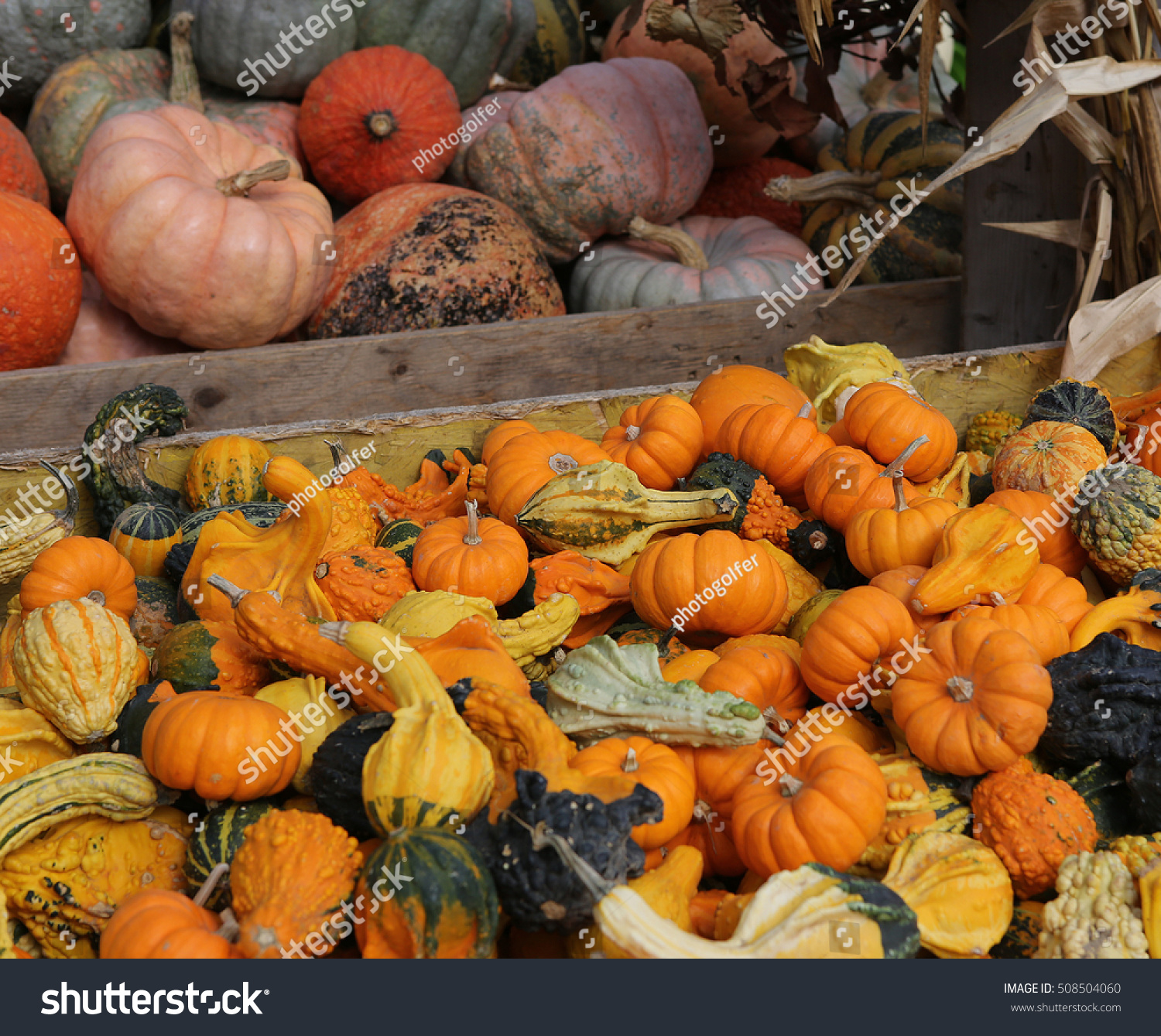 Bitcash(bitcash下载)