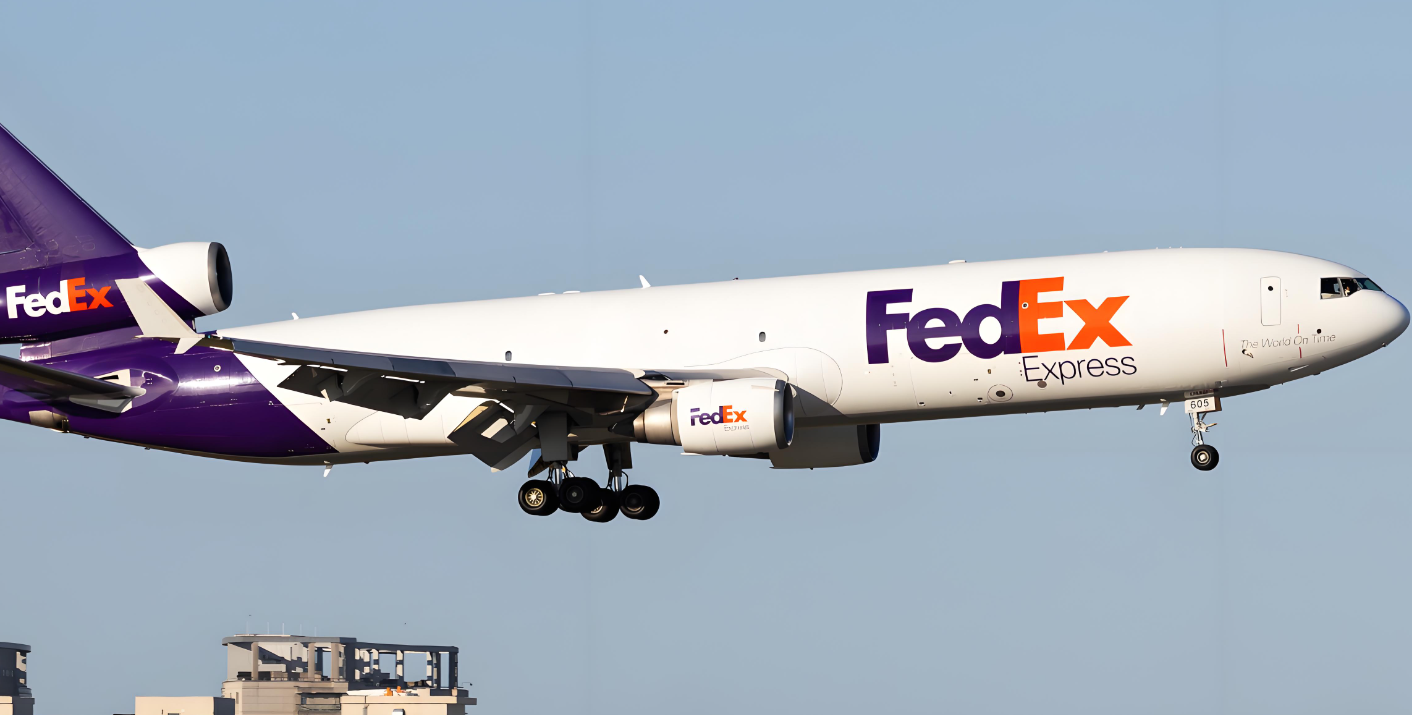 FDEX(f的胸围有多大)