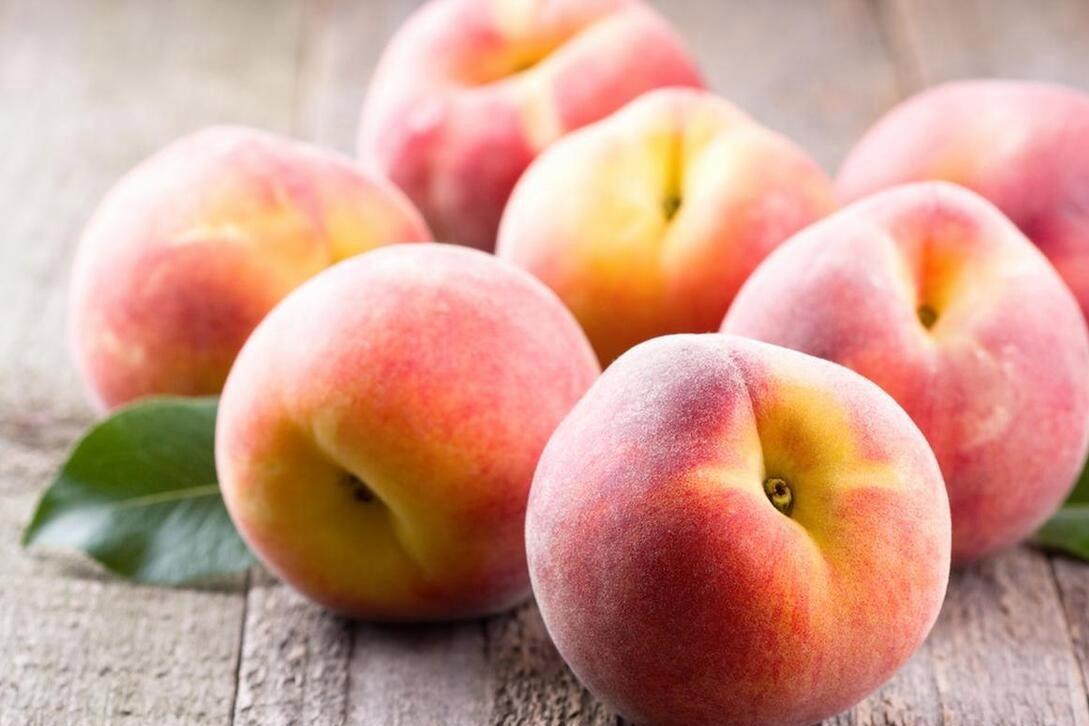 桃子(桃子英文)