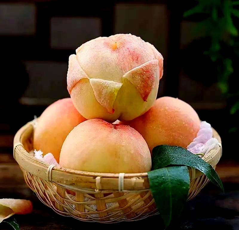 桃子(桃子的英文)