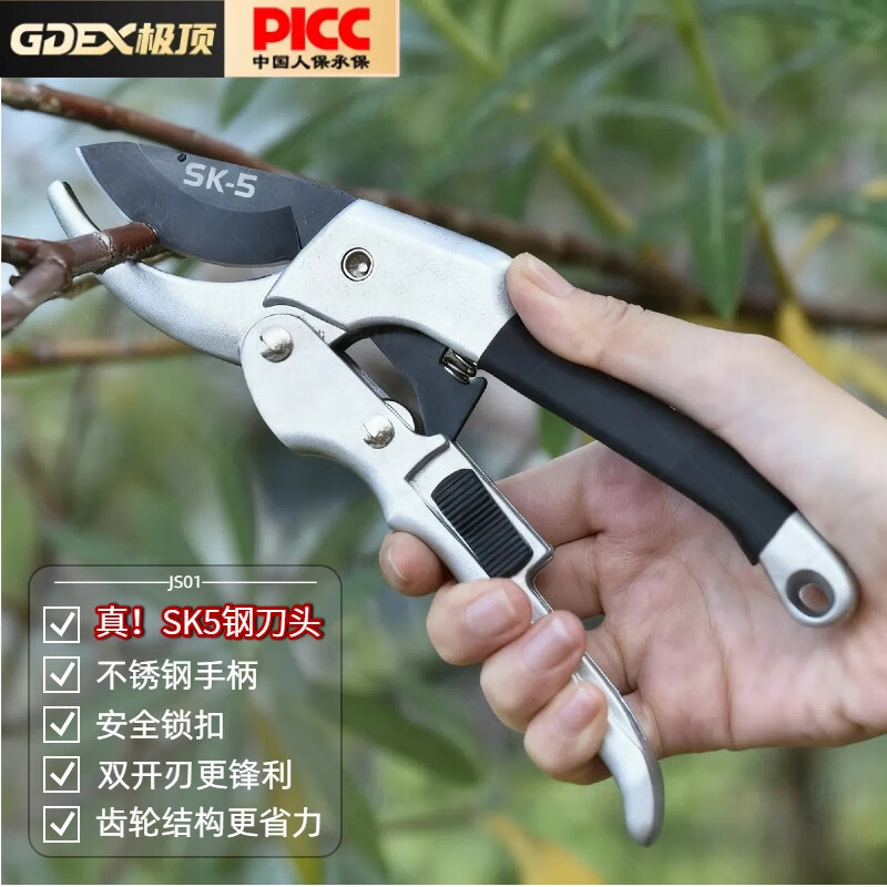 GDEX(g的写法有几种)