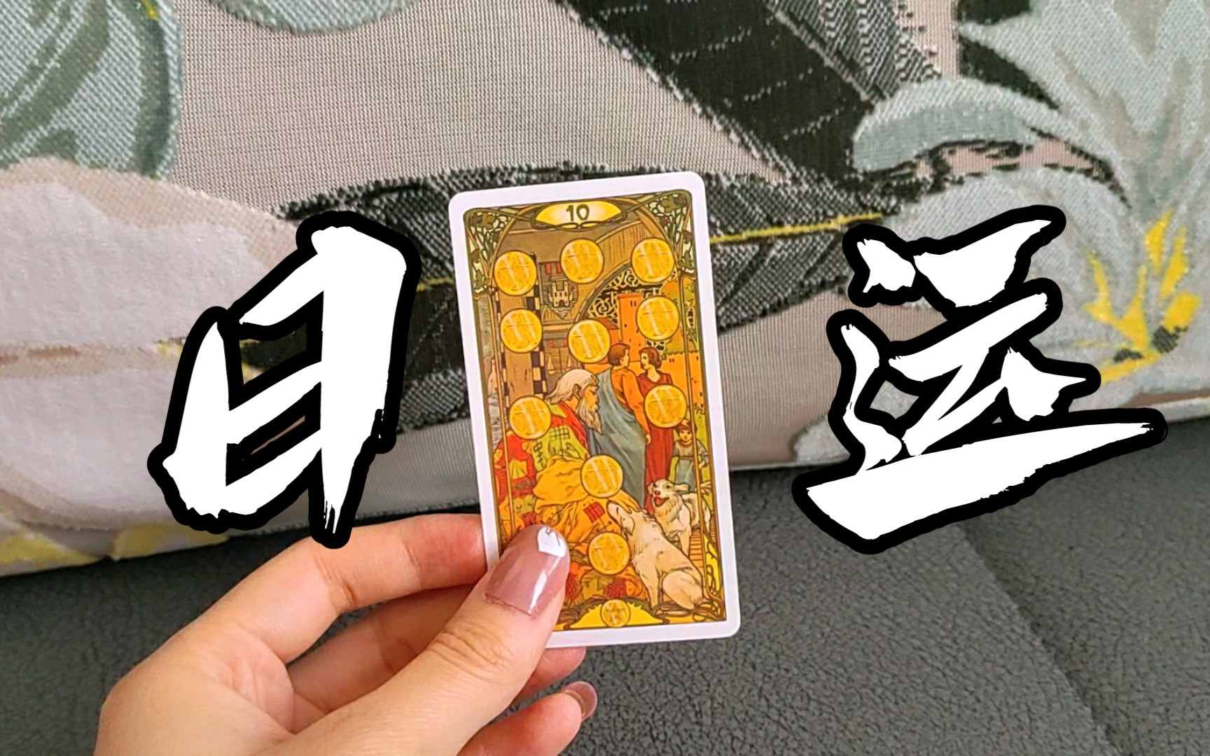 币星BitSG(bitget交易所官网)